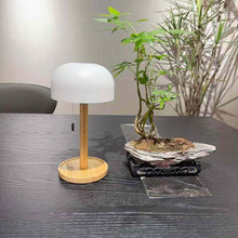 Load image into Gallery viewer, LOEWE SIDE TABLE LAMP
