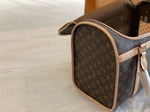 CUSTOM LV PET BAG