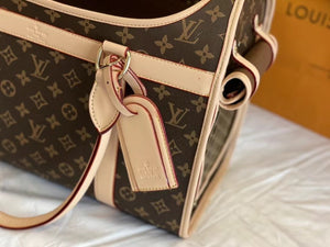 CUSTOM LV PET BAG