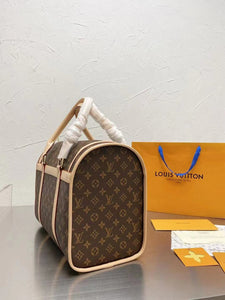 CUSTOM LV PET BAG