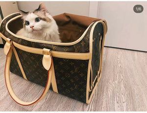 CUSTOM LV PET BAG