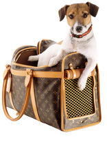 Load image into Gallery viewer, CUSTOM LV PET BAG
