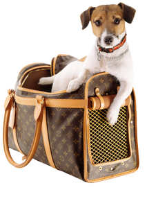 CUSTOM LV PET BAG